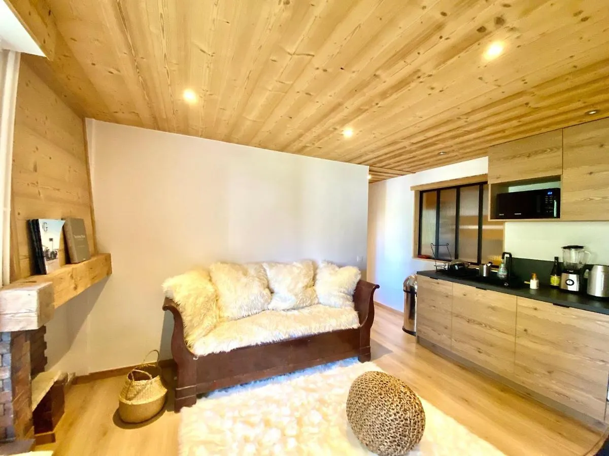 Apartment Appartement Cosy Avec 2 Chambres, Balcon Et Piscine - Proche Du Centre De Megeve - Fr-1-453-282 France